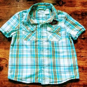 Koala Kid Button Shirt